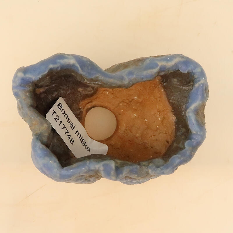 Concha de cerámica 6 x 6 x 9 cm , color azul