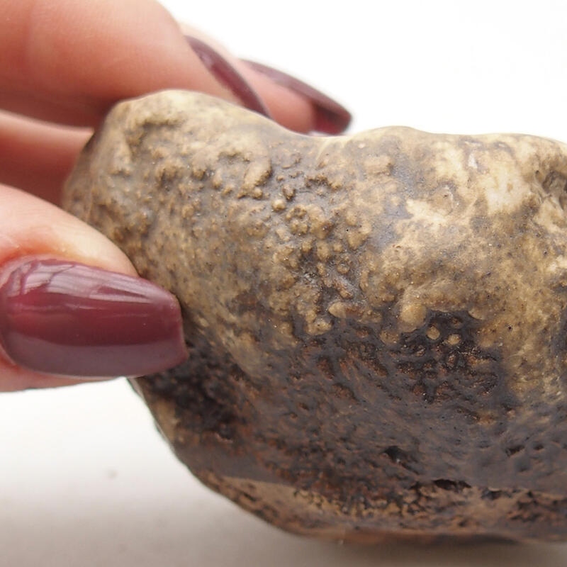 Concha de cerámica 7,5 x 6,5 x 4,5 cm , color marrón