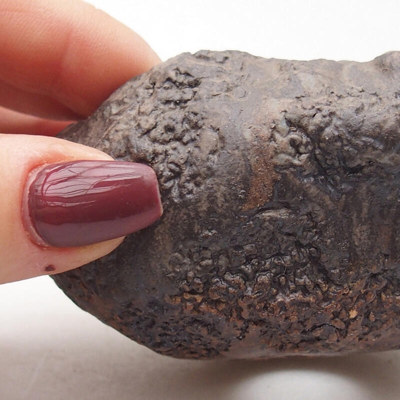 Concha de cerámica 7,5 x 6,5 x 5,5 cm , color marrón