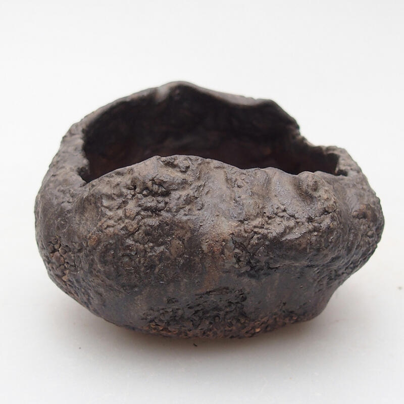 Concha de cerámica 7,5 x 6,5 x 5,5 cm , color marrón