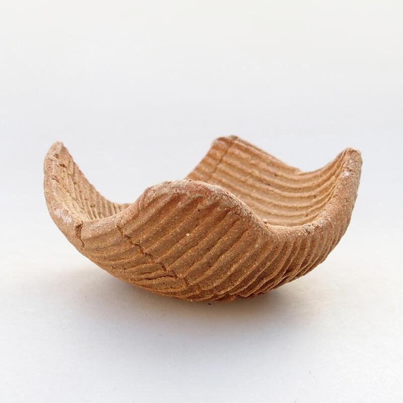 Concha de cerámica 7,5 x 7,5 x 4 cm , color negro