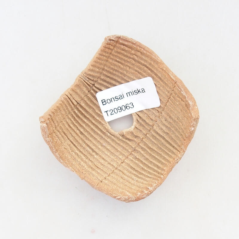 Concha de cerámica 7,5 x 7,5 x 4 cm , color negro