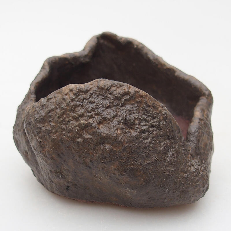 Concha de cerámica 7,5 x 7,5 x 6 cm , color marrón