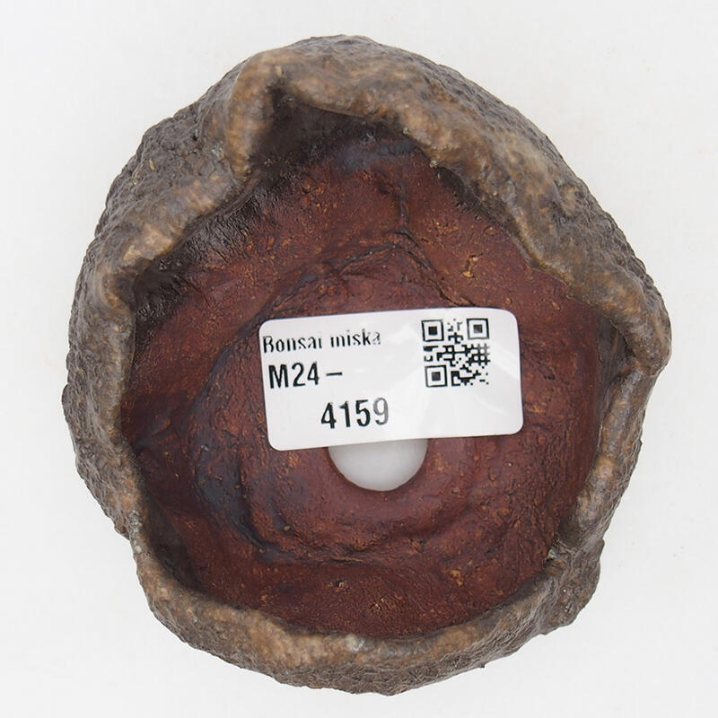 Concha de cerámica 7,5 x 7,5 x 6 cm , color marrón