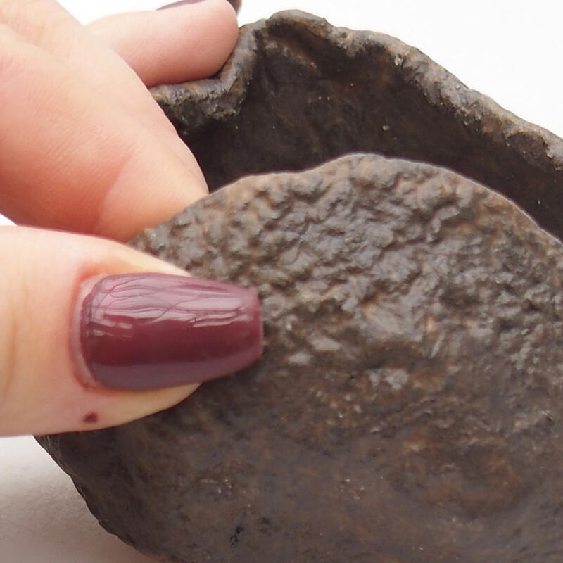 Concha de cerámica 7,5 x 7,5 x 6 cm , color marrón