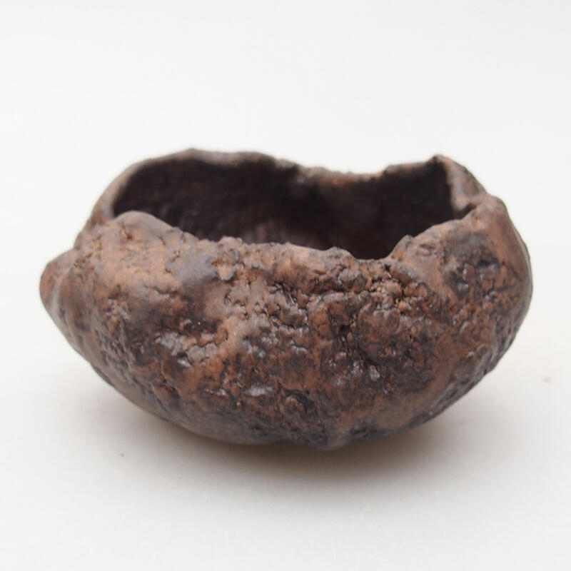 Concha de cerámica 7,5 x 7 x 4,5 cm , color marrón