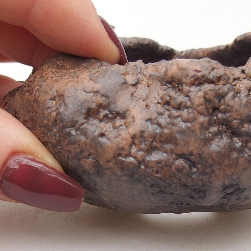 Concha de cerámica 7,5 x 7 x 4,5 cm , color marrón