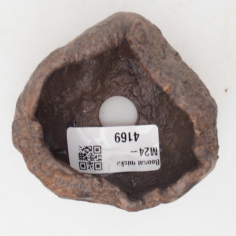 Concha de cerámica 7,5 x 7 x 4,5 cm , color marrón