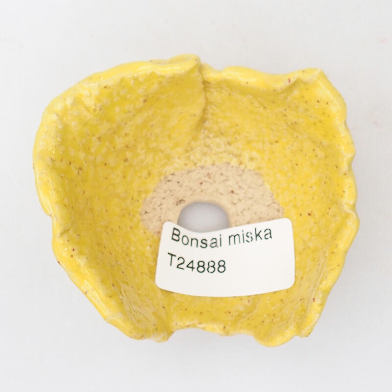 Concha de cerámica 7,5 x 7 x 4 cm , color amarillo