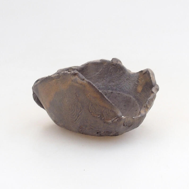 Concha de cerámica 7,5 x 7 x 5 cm , color marrón