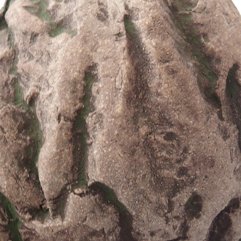 Concha de cerámica 7,5 x 7 x 5 cm , color verde