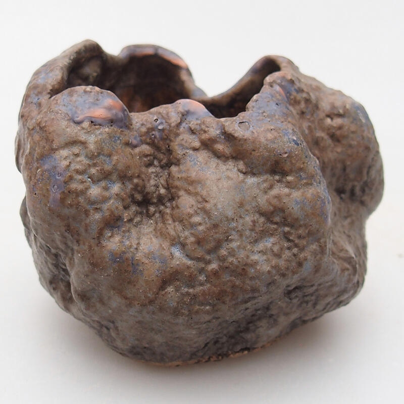 Concha de cerámica 7 x 4,5 x 6 cm , color marrón