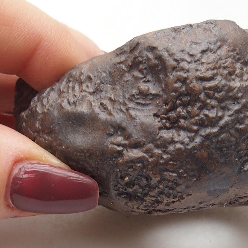 Concha de cerámica 7 x 6,5 x 4 cm , color marrón