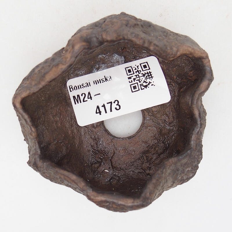 Concha de cerámica 7 x 6,5 x 4 cm , color marrón