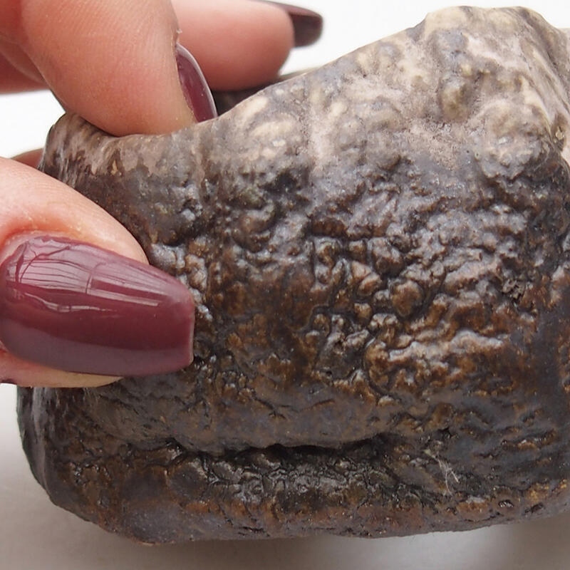 Concha de cerámica 7 x 6,5 x 4 cm , color marrón