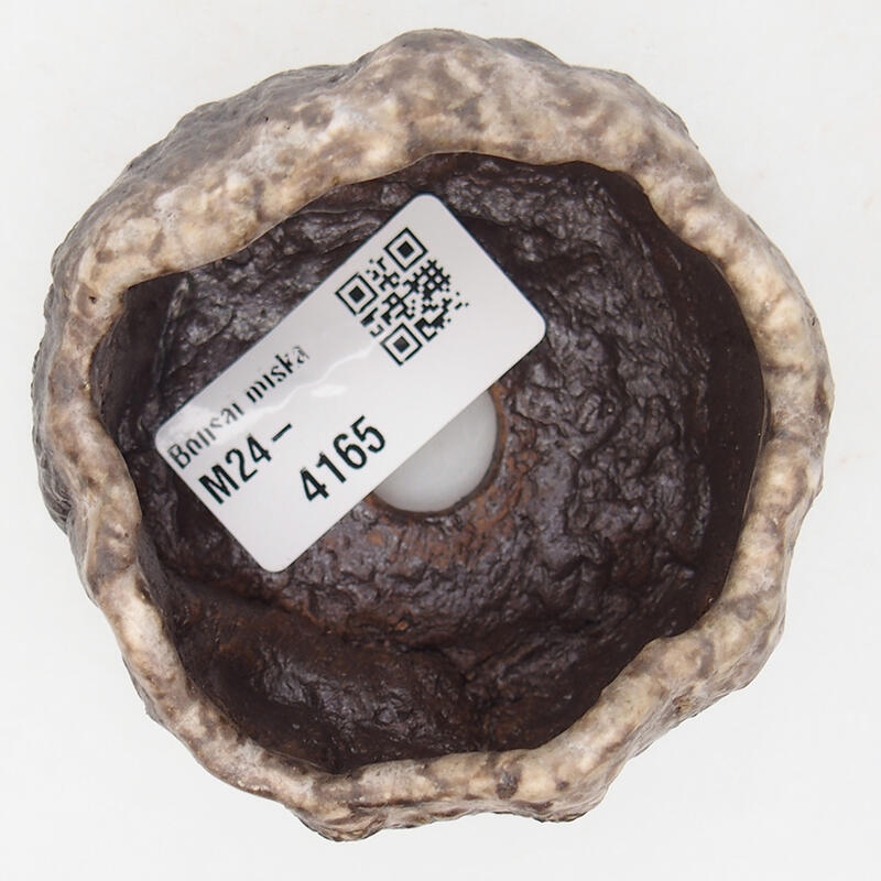 Concha de cerámica 7 x 6,5 x 4 cm , color marrón