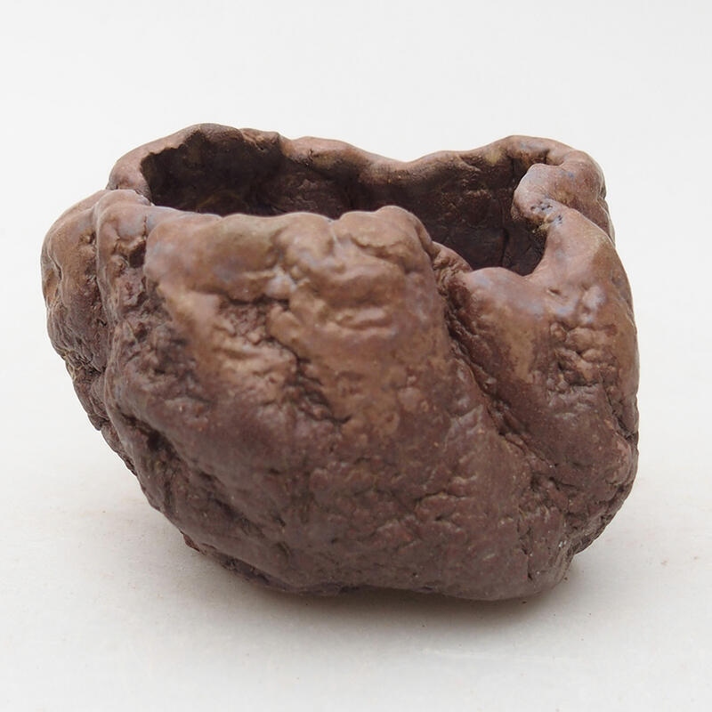 Concha de cerámica 7 x 6,5 x 5,5 cm , color marrón