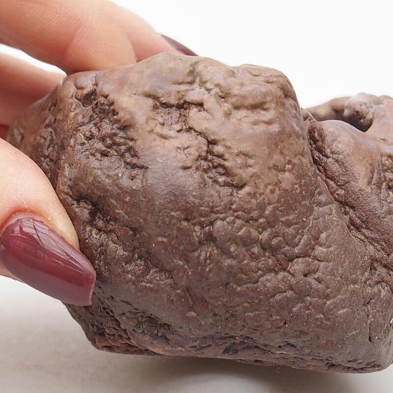 Concha de cerámica 7 x 6,5 x 5,5 cm , color marrón