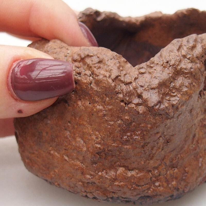 Concha de cerámica 7 x 6,5 x 5,5 cm , color marrón