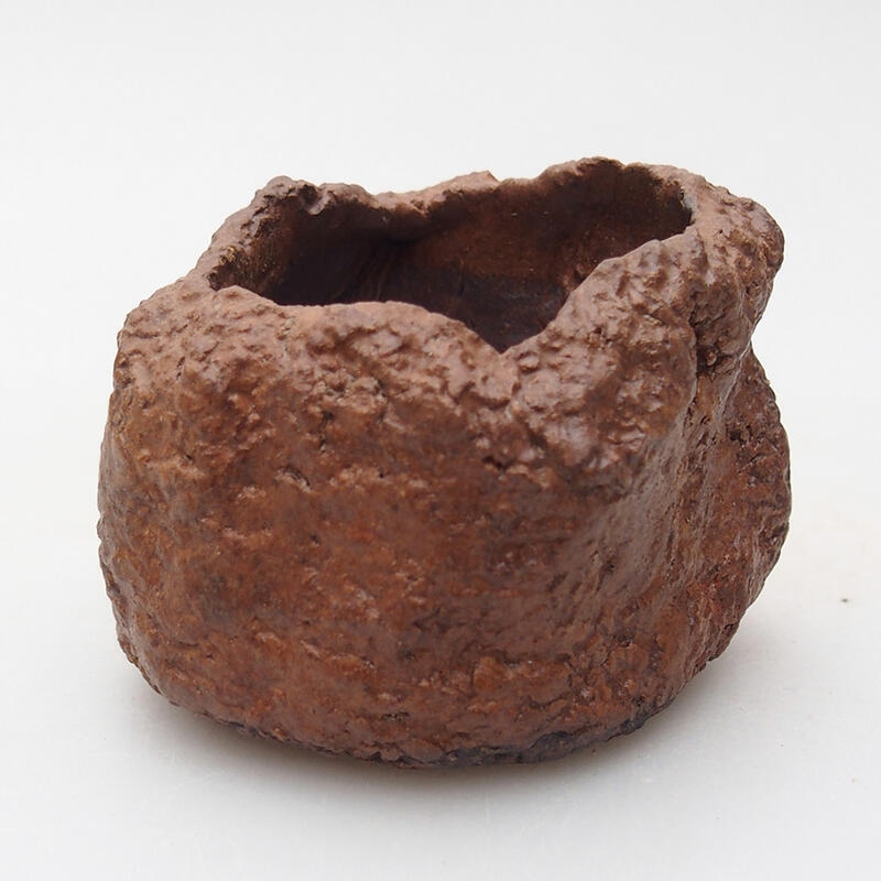 Concha de cerámica 7 x 6,5 x 5,5 cm , color marrón