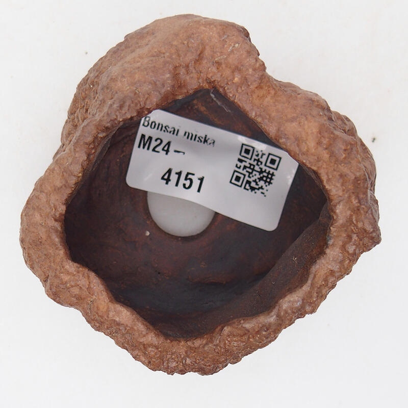 Concha de cerámica 7 x 6,5 x 5,5 cm , color marrón