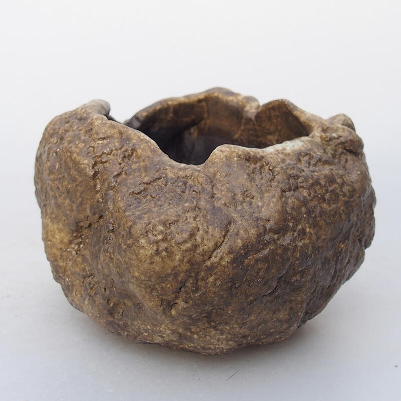 Concha de cerámica 7 x 6 x 5,5 cm , color beige