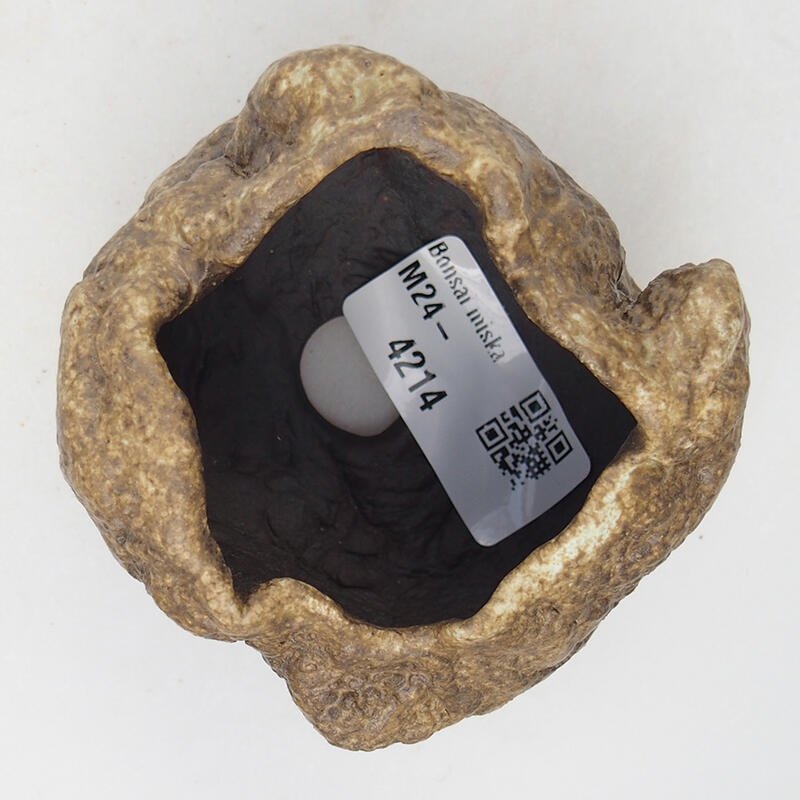 Concha de cerámica 7 x 6 x 5,5 cm , color beige