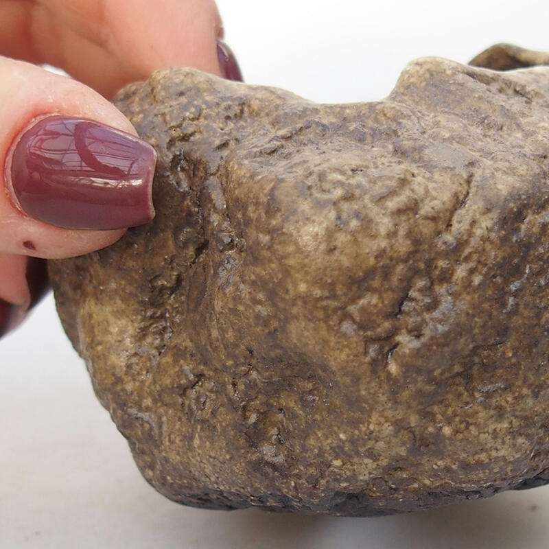 Concha de cerámica 7 x 6 x 5,5 cm , color beige