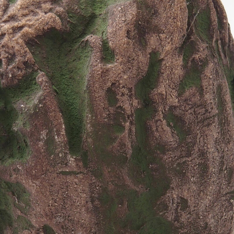 Concha de cerámica 7 x 6 x 6 cm , color verde