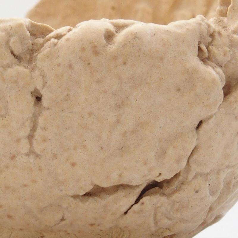 Concha de cerámica 7 x 7 x 5,5 cm , color beige