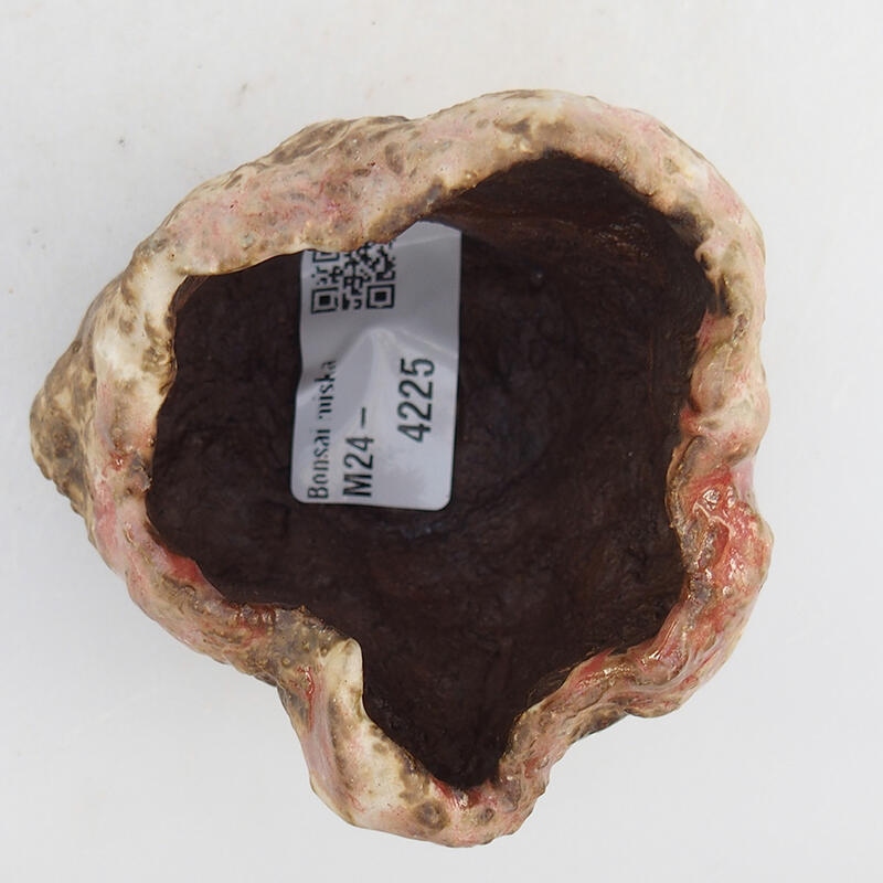 Concha de cerámica 7 x 7 x 5,5 cm , color rosa