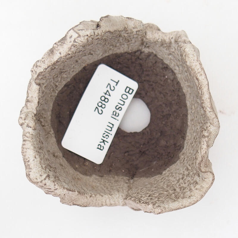 Concha de cerámica 7 x 7 x 5 cm , color gris