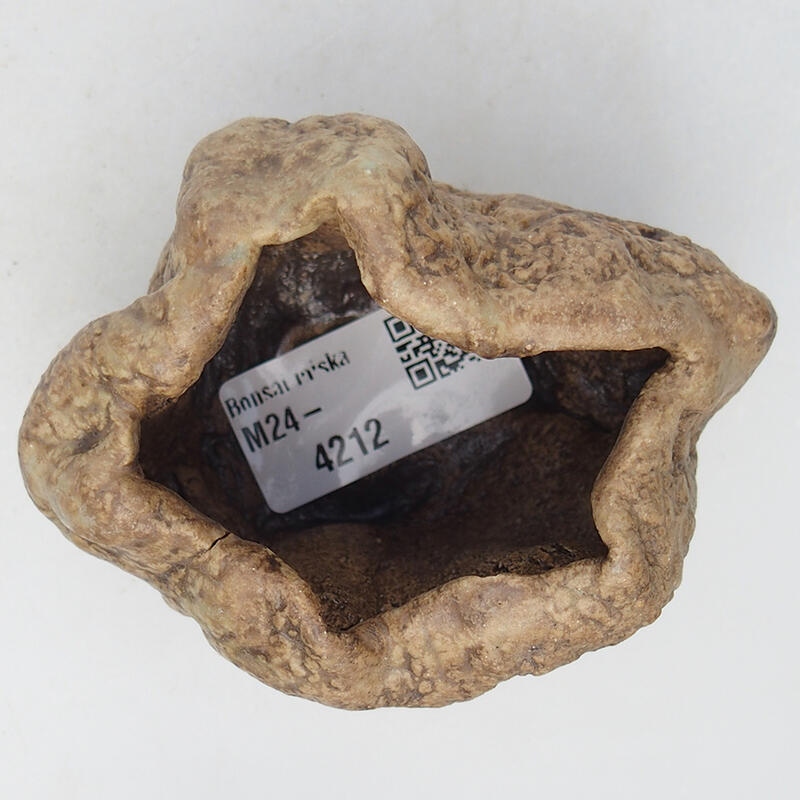 Concha de cerámica 8,5 x 6,5 x 6 cm , color beige