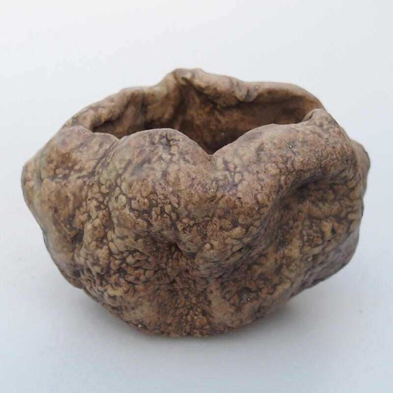 Concha de cerámica 8,5 x 6,5 x 6 cm , color beige