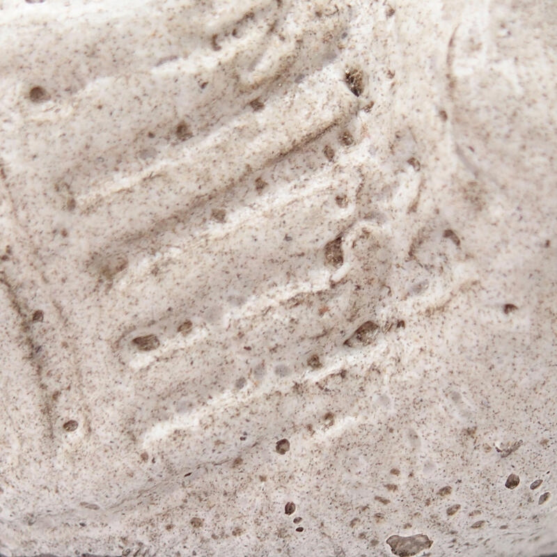 Concha de cerámica 8,5 x 7 x 5 cm , color gris