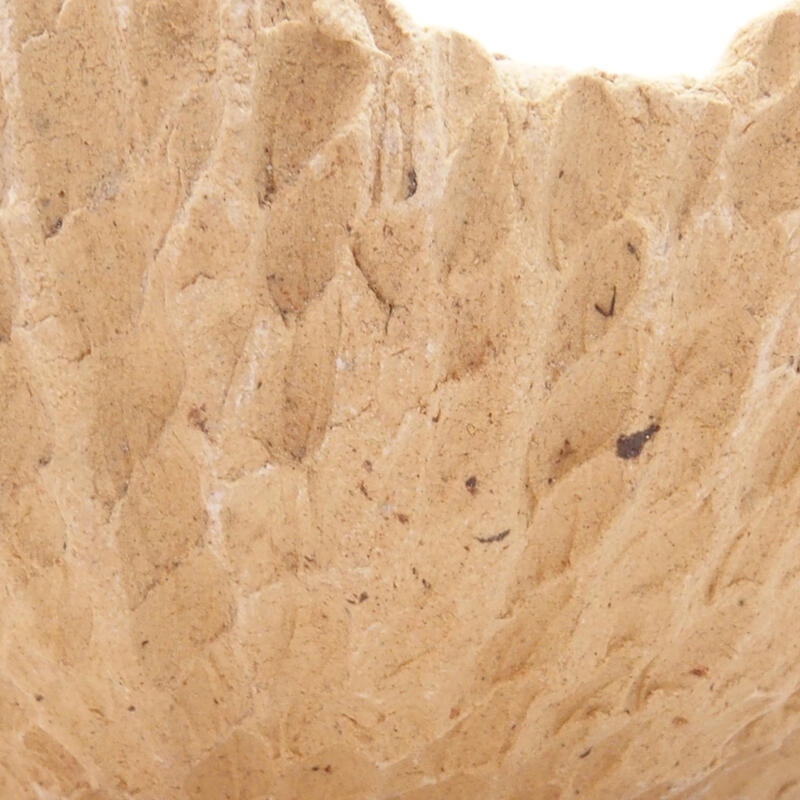 Concha de cerámica 8,5 x 8,5 x 4,5 cm , color beige