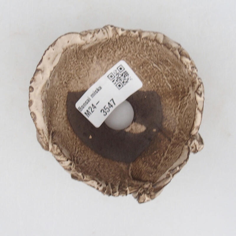 Concha de cerámica 8,5 x 8,5 x 6 cm , color beige