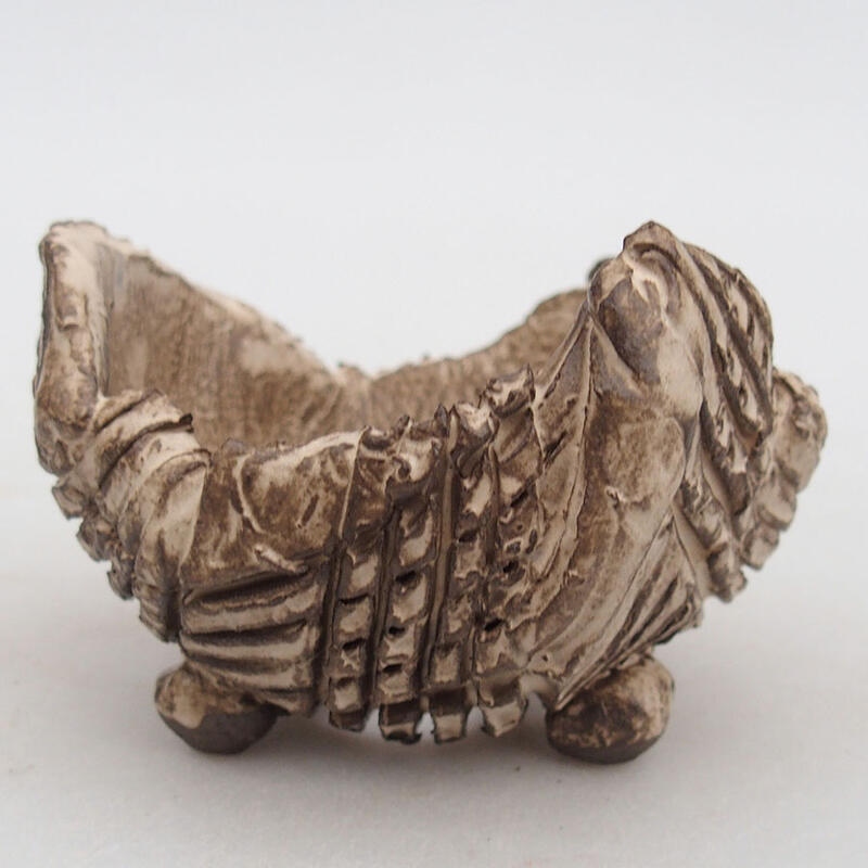 Concha de cerámica 8,5 x 8,5 x 6 cm , color beige