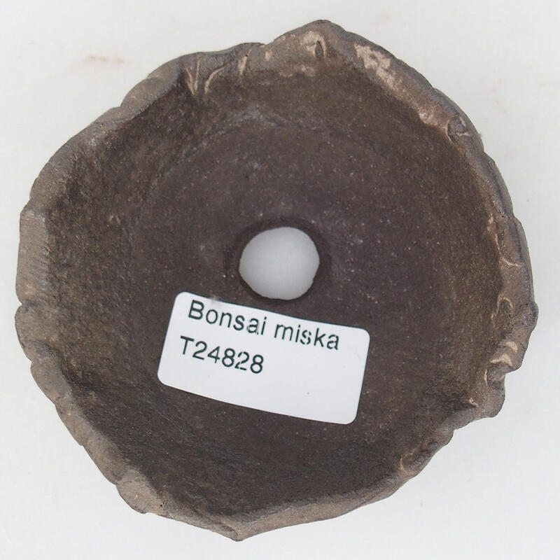 Concha de cerámica 8,5 x 8 x 4 cm , color marrón