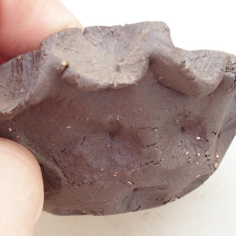 Concha de cerámica 8,5 x 8 x 4 cm , color negro