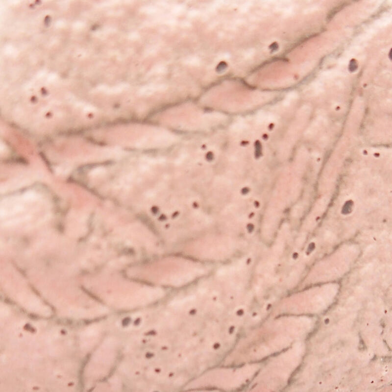 Concha de cerámica 8,5 x 8 x 4 cm , color rosa