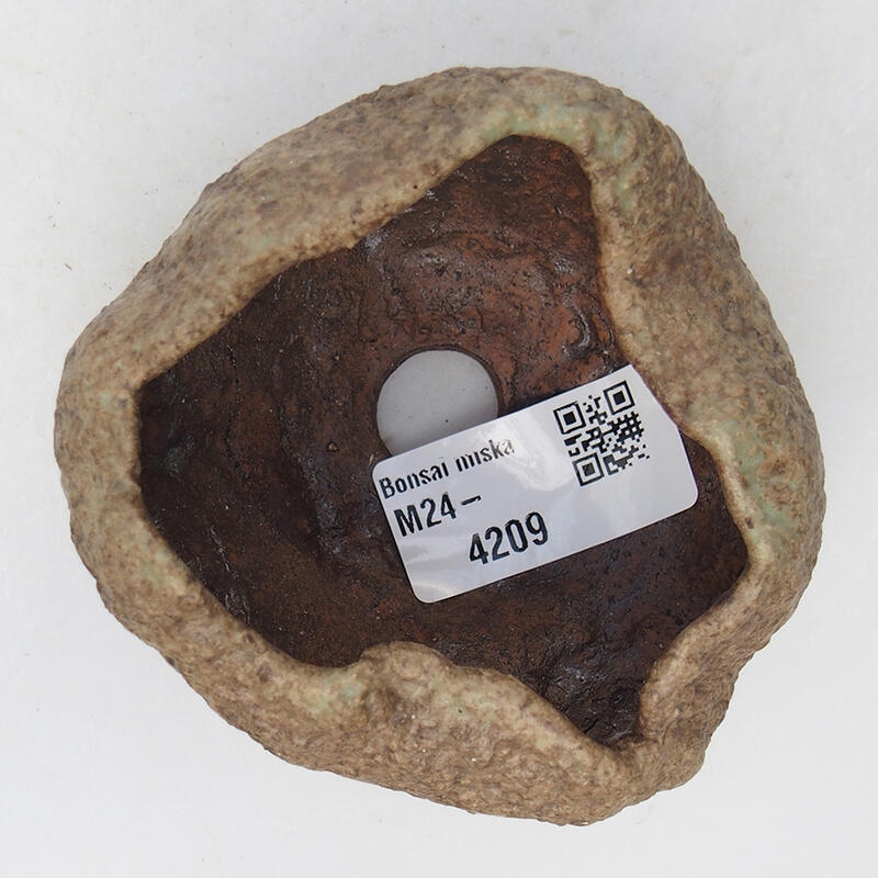 Concha de cerámica 8,5 x 8 x 5 cm , color beige