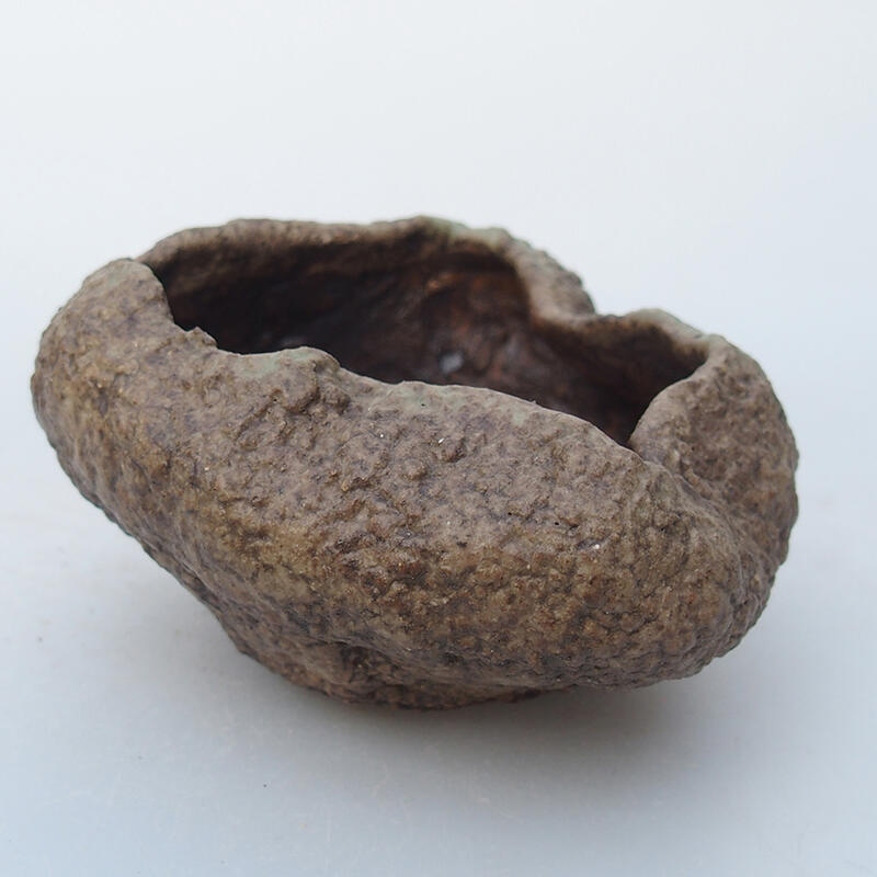 Concha de cerámica 8,5 x 8 x 5 cm , color beige