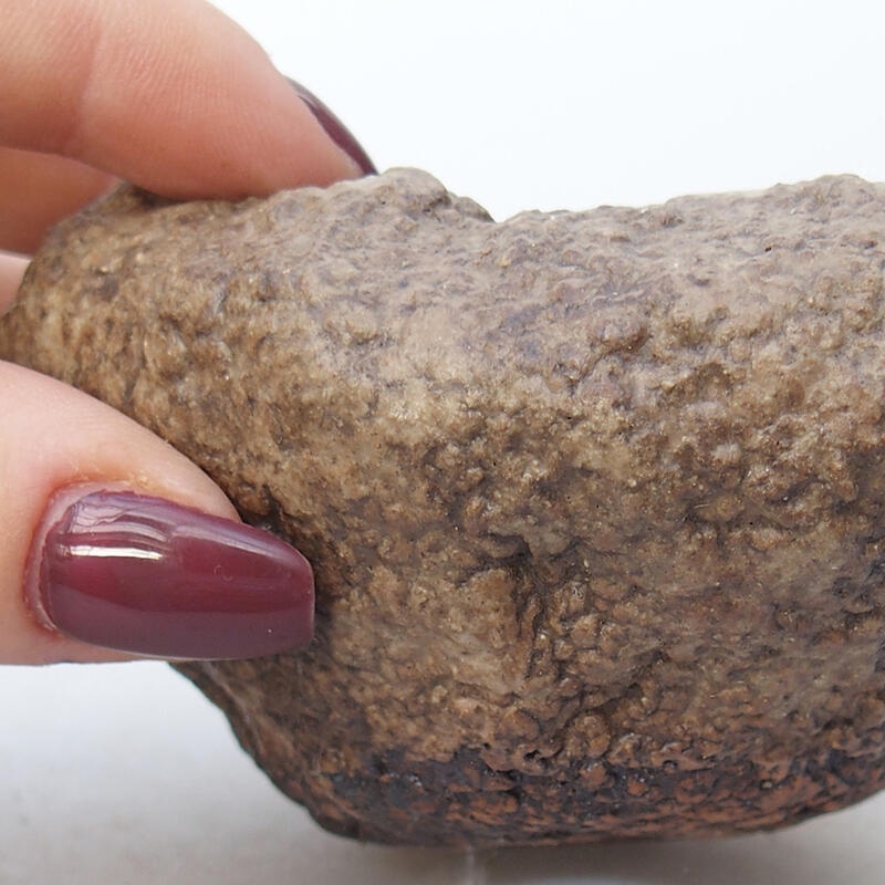 Concha de cerámica 8,5 x 8 x 5 cm , color beige