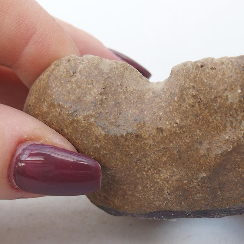 Concha de cerámica 8 x 6 x 4,5 cm , color beige