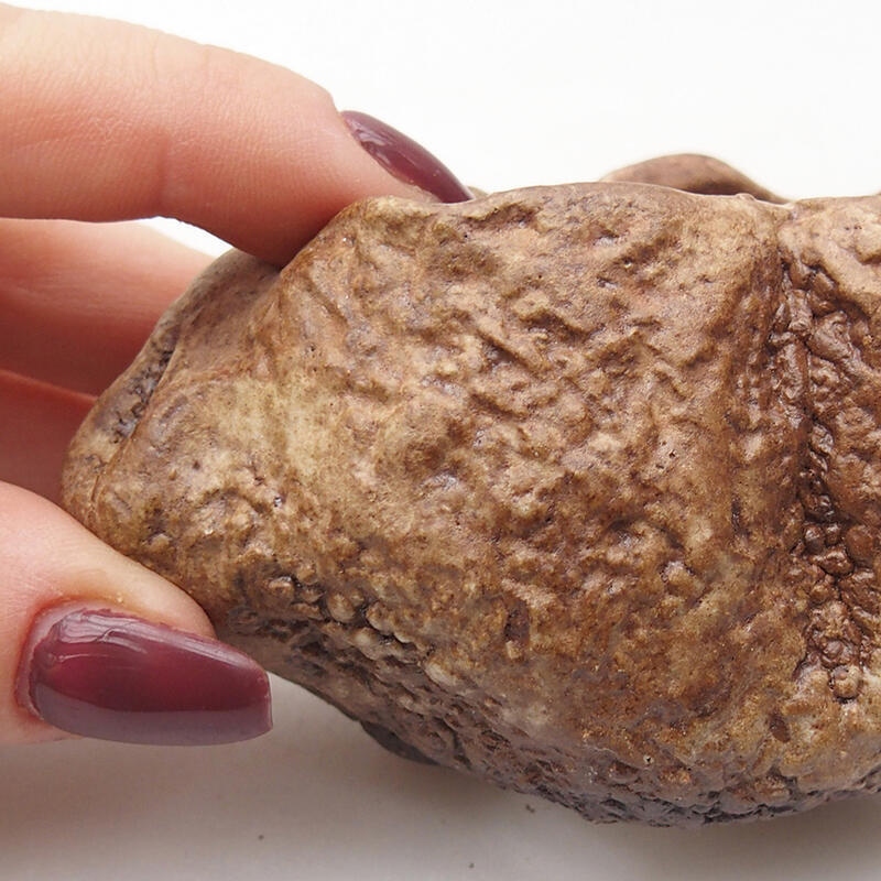 Concha de cerámica 8 x 6 x 5 cm , color marrón