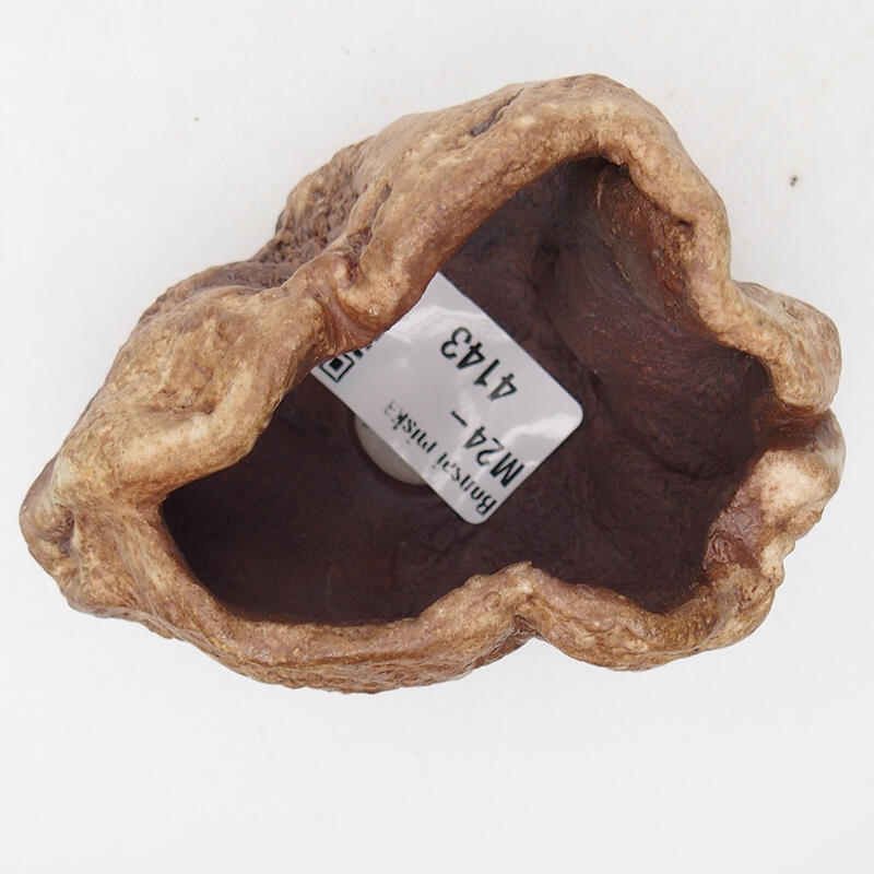 Concha de cerámica 8 x 6 x 5 cm , color marrón