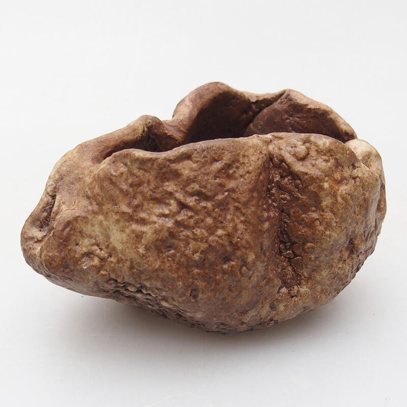 Concha de cerámica 8 x 6 x 5 cm , color marrón