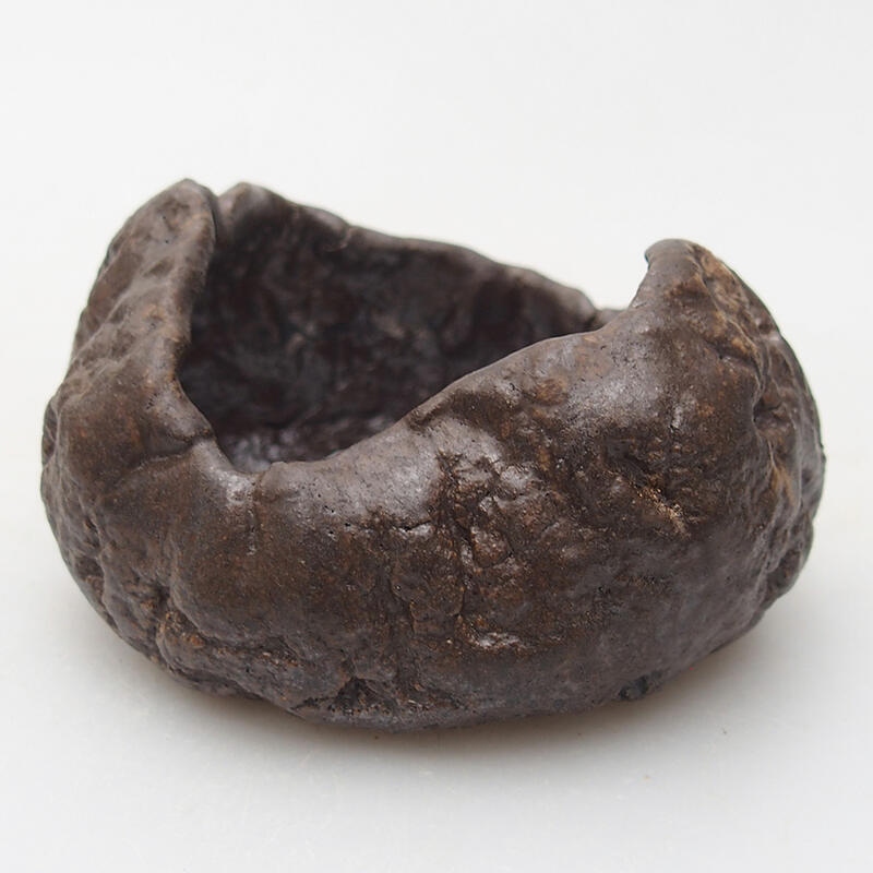 Concha de cerámica 8 x 7,5 x 4,5 cm , color marrón