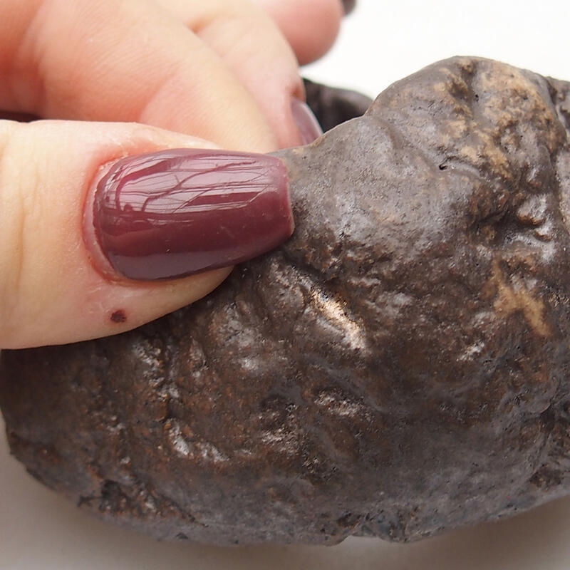 Concha de cerámica 8 x 7,5 x 4,5 cm , color marrón